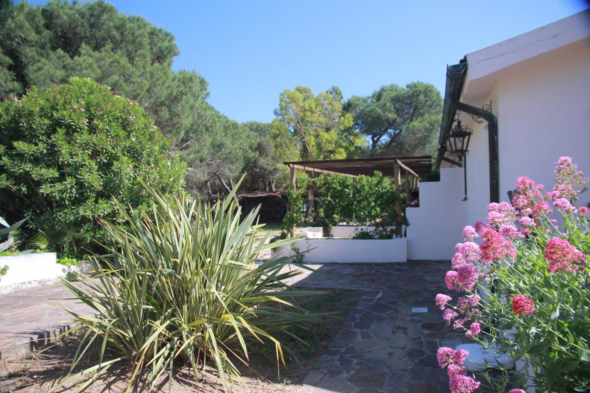 Azienda Agricola Sapereta Porto Azzurro Bagian luar foto